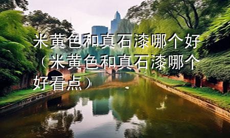 米黄色和真石漆哪个好（米黄色和真石漆哪个好看点）