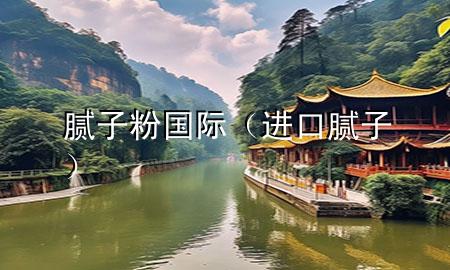 腻子粉国际（进口腻子）