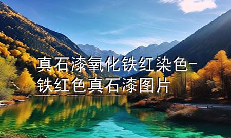 真石漆氧化铁红染色-铁红色真石漆图片