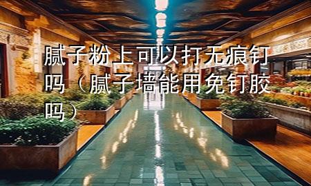 腻子粉上可以打无痕钉吗（腻子墙能用免钉胶吗）