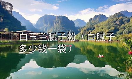 白玉兰腻子粉（白腻子多少钱一袋）