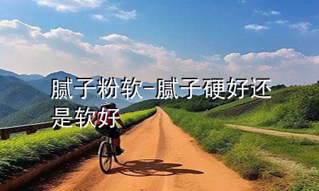 腻子粉 软-腻子硬好还是软好