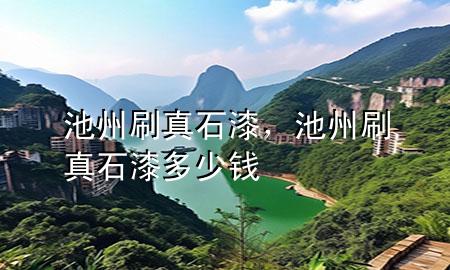 池州刷真石漆，池州刷真石漆多少钱