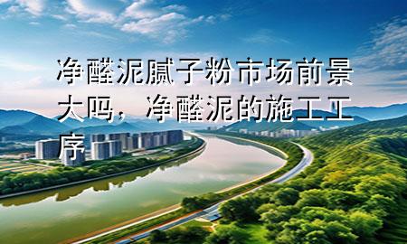 净醛泥腻子粉市场前景大吗，净醛泥的施工工序