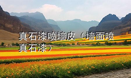 真石漆喷墙皮（墙面喷真石漆）