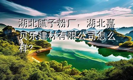 湖北腻子粉厂，湖北嘉贝乐建材有限公司怎么样?