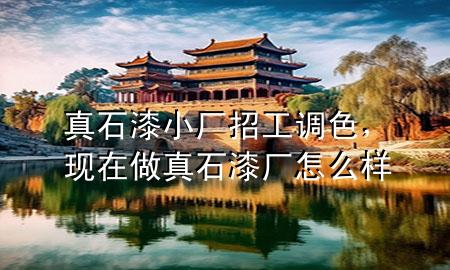 真石漆小厂招工调色，现在做真石漆厂怎么样