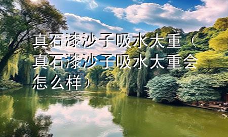真石漆沙子吸水太重（真石漆沙子吸水太重会怎么样）