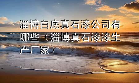 淄博白底真石漆公司有哪些（淄博真石漆漆生产厂家）