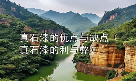 真石漆的优点与缺点（真石漆的利与弊）