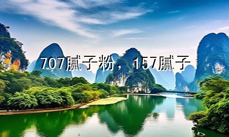707腻子粉，157腻子