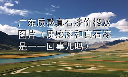 广东质感真石漆价格及图片（质感漆和真石漆是一一回事儿吗）