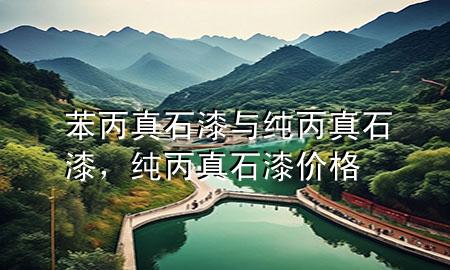 苯丙真石漆与纯丙真石漆，纯丙真石漆价格