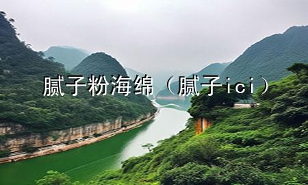 腻子粉海绵（腻子ici）