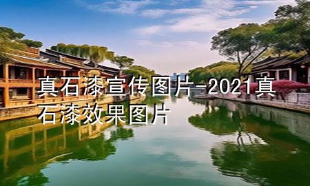 真石漆宣传图片-2021真石漆效果图片