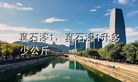 真石漆1，真石漆1升多少公斤