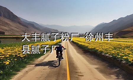 大丰腻子粉厂-徐州丰县腻子厂