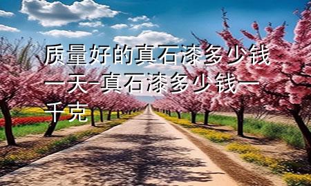 质量好的真石漆多少钱一天-真石漆多少钱一千克