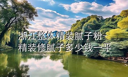 浙江整体精装腻子粉-精装修腻子多少钱一平