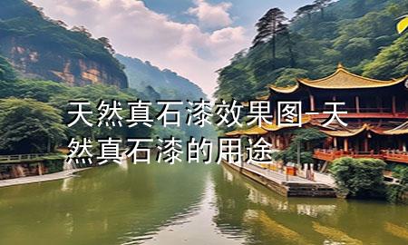 天然真石漆效果图-天然真石漆的用途