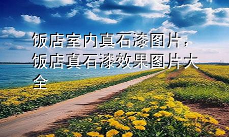 饭店室内真石漆图片，饭店真石漆效果图片大全