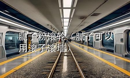 腻子粉滚轮（腻子可以用滚子滚墙）