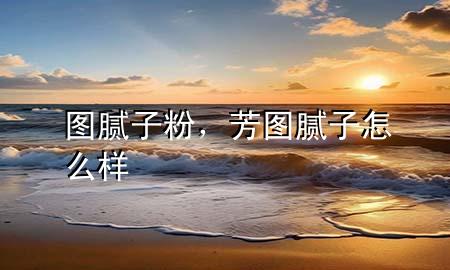 图腻子粉，芳图腻子怎么样