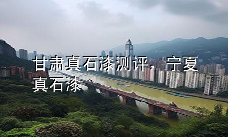 甘肃真石漆测评，宁夏真石漆