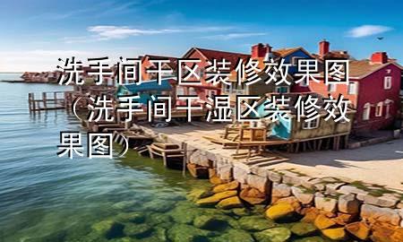 洗手间干区装修效果图（洗手间干湿区装修效果图）