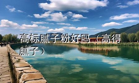 高标腻子粉好吗（高得腻子）