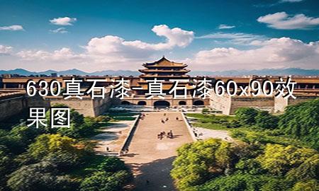 630真石漆-真石漆60x90效果图