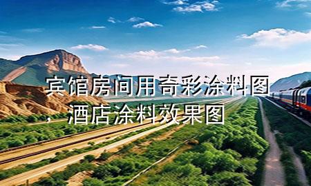宾馆房间用奇彩涂料图，酒店涂料效果图