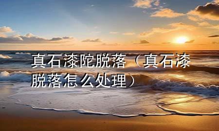 真石漆陀脱落（真石漆脱落怎么处理）