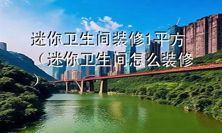 迷你卫生间装修1平方（迷你卫生间怎么装修）