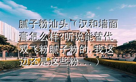 腻子粉汕头（汉和墙面膏怎么样?听说能替代双飞粉腻子粉的,我这边还是这些粉...）