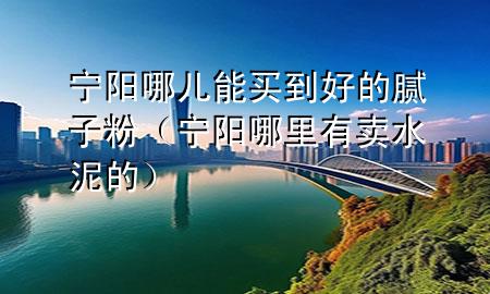 宁阳哪儿能买到好的腻子粉（宁阳哪里有卖水泥的）