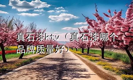 真石漆ktv（真石漆哪个品牌质量好）