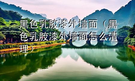 黑色乳胶漆外墙面（黑色乳胶漆外墙面怎么清理）