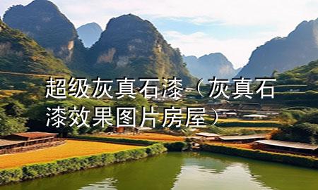 超级灰真石漆（灰真石漆效果图片 房屋）