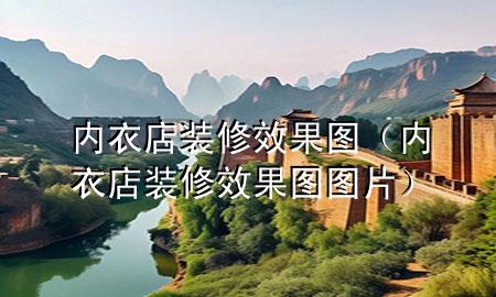 内衣店装修效果图（内衣店装修效果图图片）