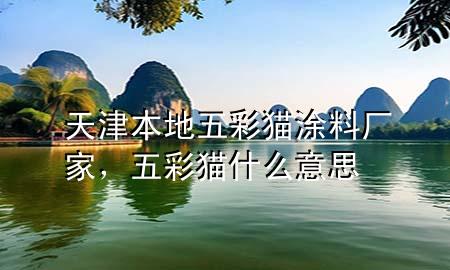 天津本地五彩猫涂料厂家，五彩猫什么意思
