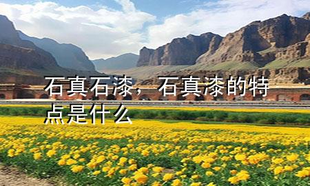 石真石漆，石真漆的特点是什么