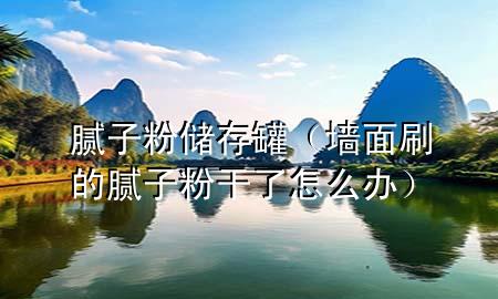 腻子粉储存罐（墙面刷的腻子粉干了怎么办）