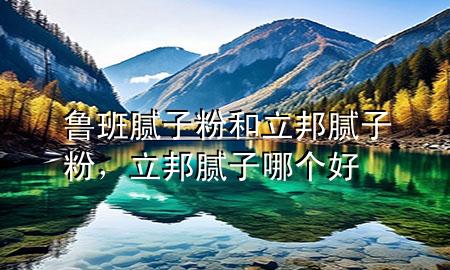 鲁班腻子粉和立邦腻子粉，立邦腻子哪个好