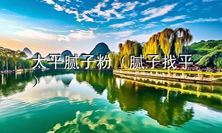 太平腻子粉（腻子 找平）