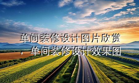 单间装修设计图片欣赏，单间装修设计效果图