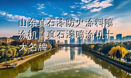 山东真石漆防火涂料喷涂机（真石漆喷涂机十大名牌）