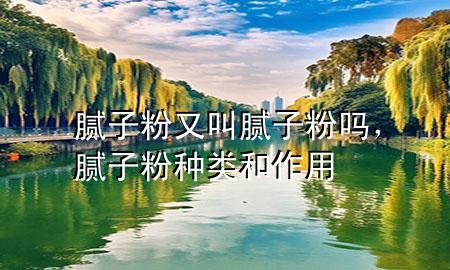 腻子粉又叫腻子粉吗，腻子粉种类和作用