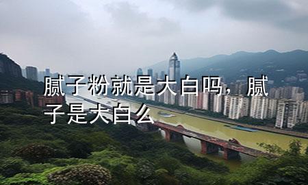 腻子粉就是大白吗，腻子是大白么