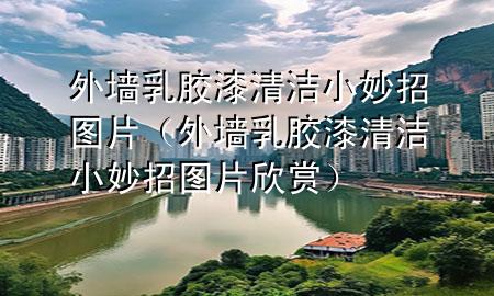 外墙乳胶漆清洁小妙招图片（外墙乳胶漆清洁小妙招图片欣赏）